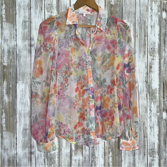 Olivaceous Sheer Lush Blooms Chiffon Button Up Fairy Whimsy Coquette Regencycore - Picture 2 of 9